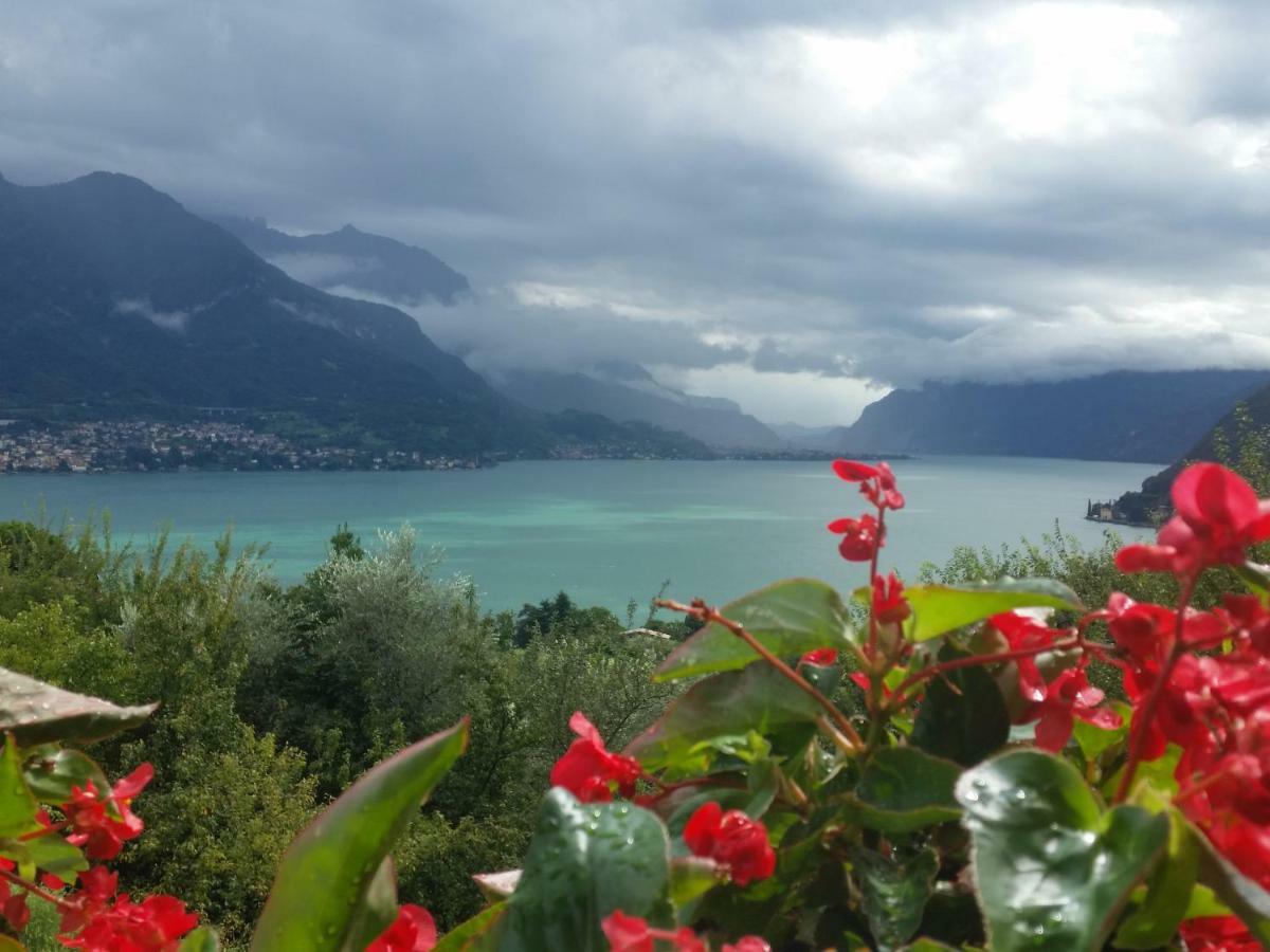 Alba E Tramonto Appartamenti Vista Lago Bellagio Exterior photo